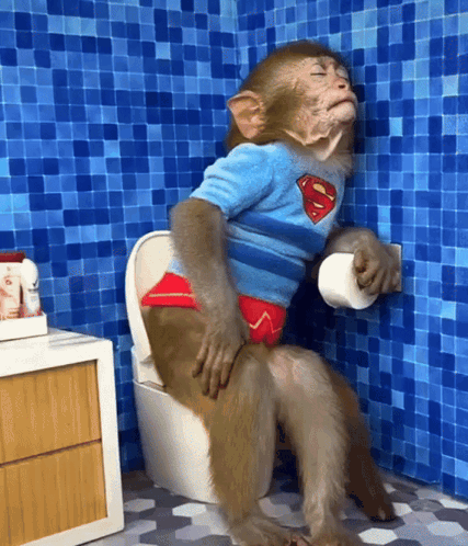Monkey Sleeping In Bathroom GIF