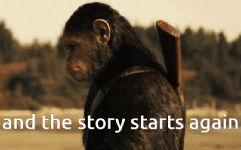Monkey So It Begins GIF