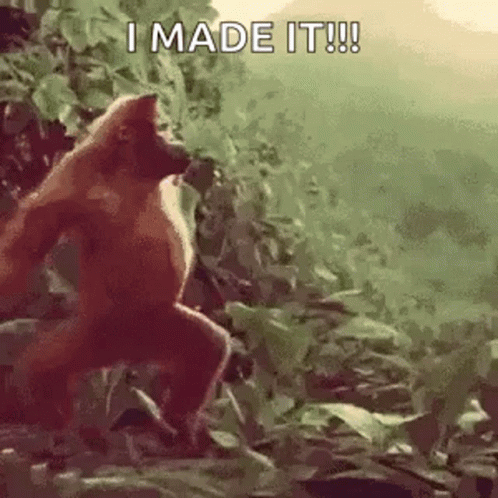 Monkey Standing in Jungle Saying I Made It