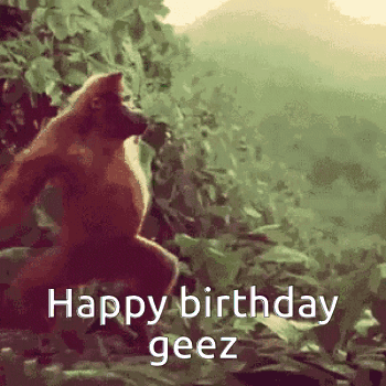 Monkey Standing In Woods Happy Birthday Geez GIF