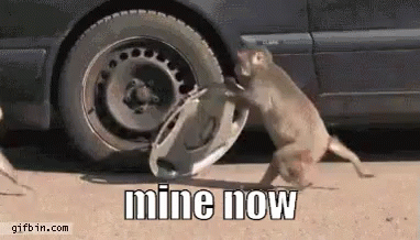 Monkey Standing Next to Car Wheel