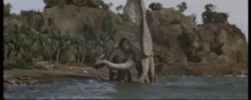 Monkey Standing on Tree Trunk in Water