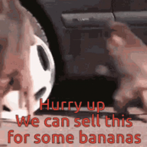 Monkey Stealing Tire For Selling GIF