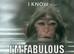 Monkey Swimming with I Know I'm Fabulous