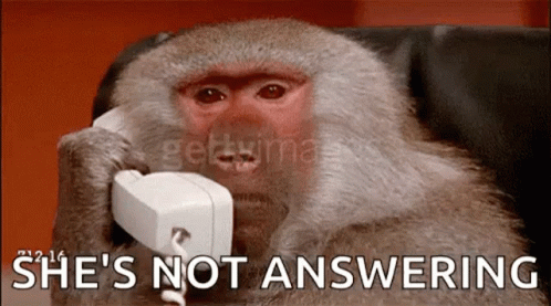 Monkey Talking On Phone Saying She's Not Answering GIF