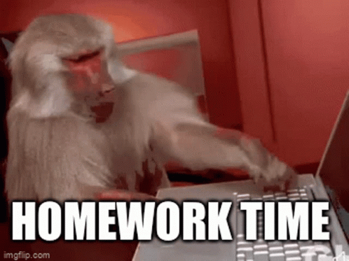 Monkey Tapping Laptop Homework Time GIF