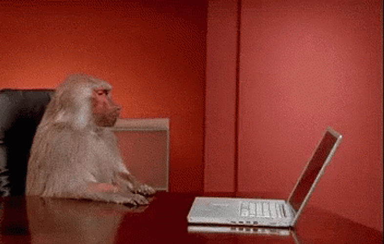 Monkey Throws Laptop In Frustration GIF
