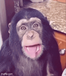 Monkey Tongue Monkey Lala Gif GIF