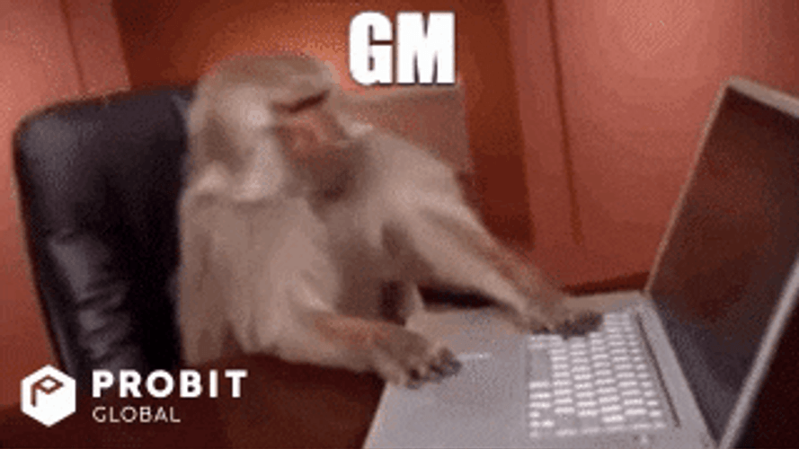 Monkey Typing Good Morning GIF