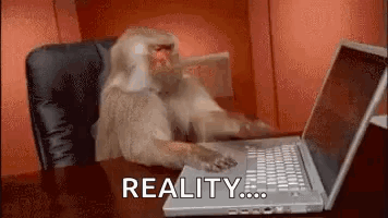 Monkey Typing on Laptop