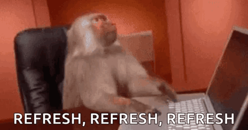 Monkey Typing On Laptop GIF