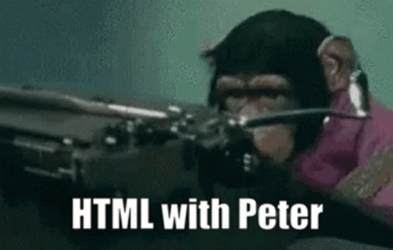 Monkey Typing Use Html GIF