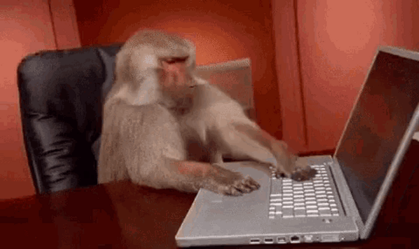 Monkey Using Technology GIF