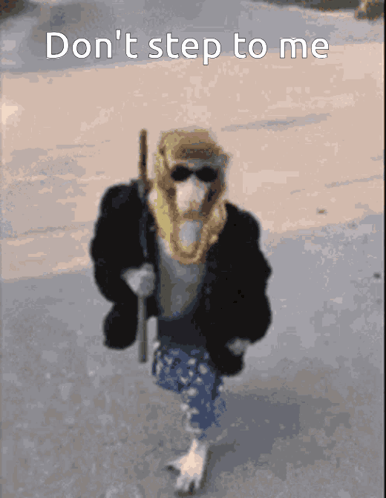 Monkey Walking Don T Step To Me