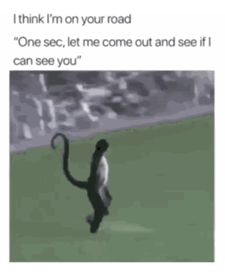 Monkey Walking On Grass Caption I Think I'm On Your Road