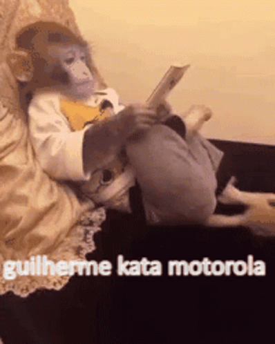 Monkey Watching In Motorola GIF