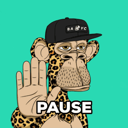 Monkey Wearing Baby YC Hat