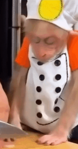 Monkey Wearing Chef's Hat And Apron GIF