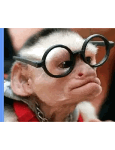 Monkey Wearing Glasses Making Funny Face