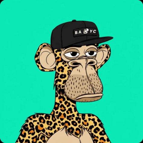Monkey Wearing Hat Saying Babyc