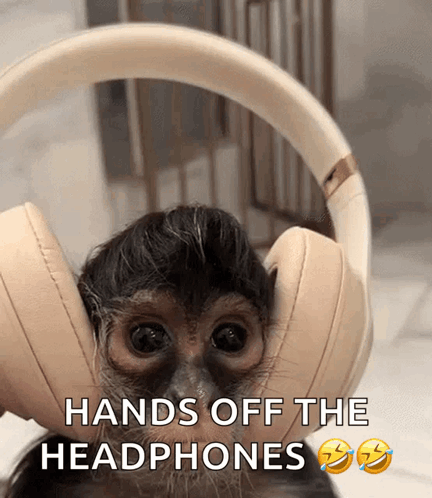 Monkey Wearing Headphones Saying Hands Off
