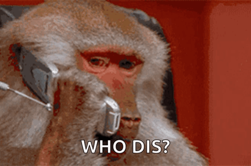 Monkey Wearing Headphones Talking on Phone