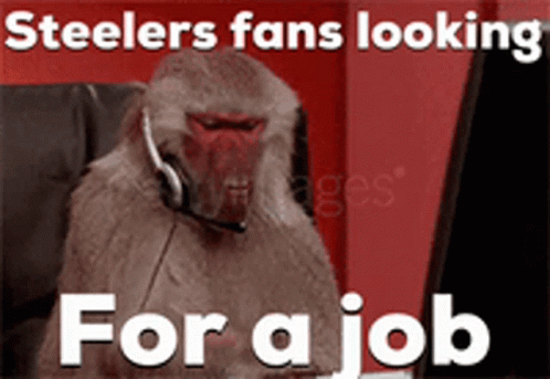 Monkey Wearing Headset Steelers Fans Looking For A Job GIF