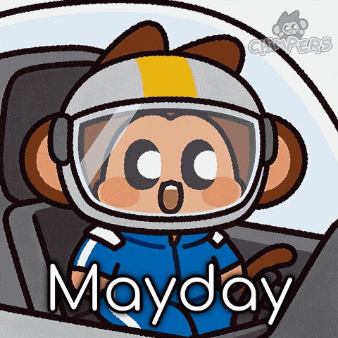 Monkey Wearing Helmet Mayday GIF