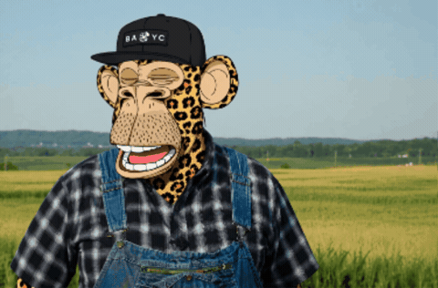 Monkey Wearing Overalls and BA & YC Hat