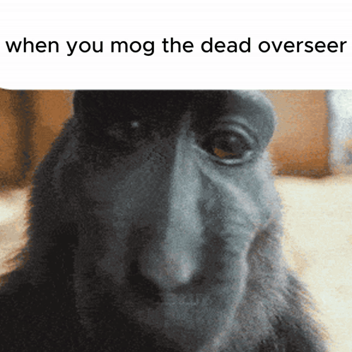 Monkey When You Mog the Dead Overseer