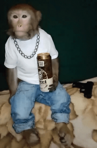 Monkey White Shirt Blue Jeans Holding Hazelnut Coffee