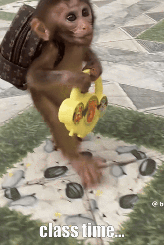 Monkey with Backpack Playing Class Time Toy