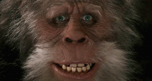 Monkey With Beard And Teeth GIF