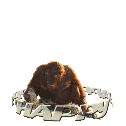Monkey With Happy Words