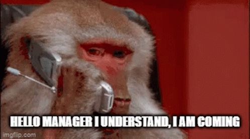 Monkey With Headset Saying Hello Manager I Understand I Am Coming GIF