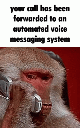 Monkey With Headset Saying Your Call Has Been Forwarded To An Automated Voice Messaging GIF