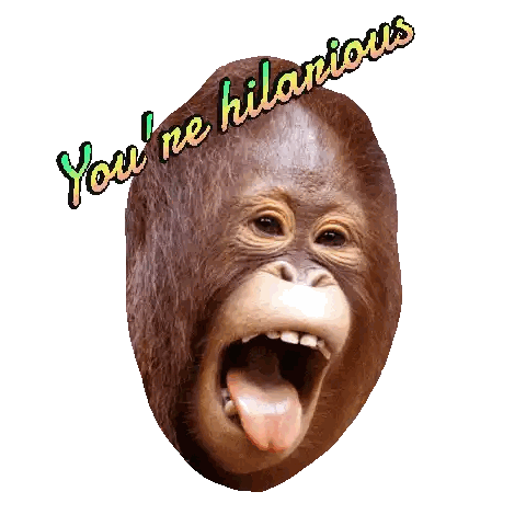 Monkey With Mouth Open Saying You're Hilarious