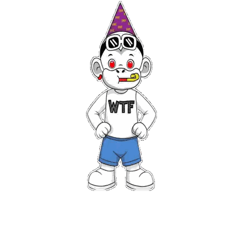 Monkey With Party Hat And Wtf Shirt