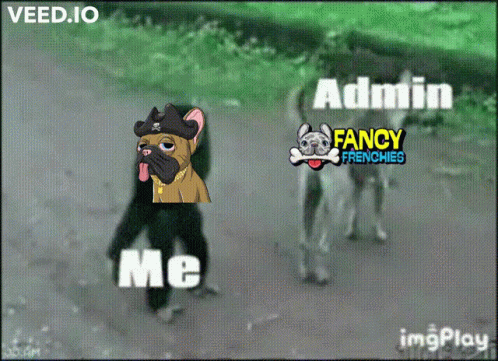 Monkey With Pirate Hat And Fancy Frenchies GIF