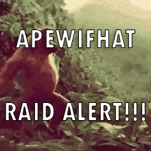 Monkey with Raid Alert Words
