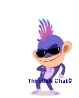 Monkey with Sunglasses and Mohawk Says Thiruda N Chat