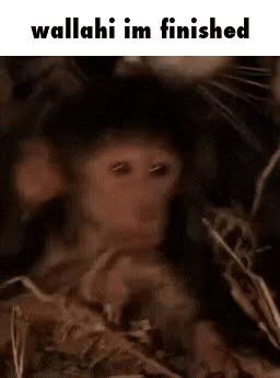 Monkey With Wallahi Im Finished