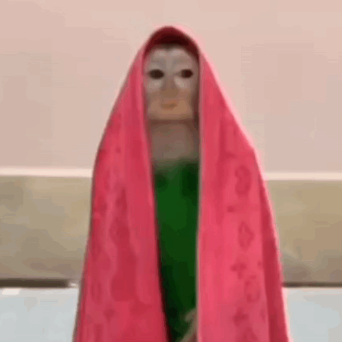 Monkey Wrapped in Pink Towel and Green Shirt