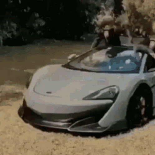 Monkeys Driving White Mclaren Supercar GIF