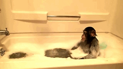 Monkeys Enjoys His Bubble Bath Time GIF