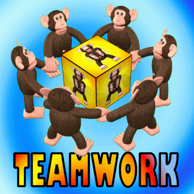 Monkeys Forming A Circle Collaboration GIF