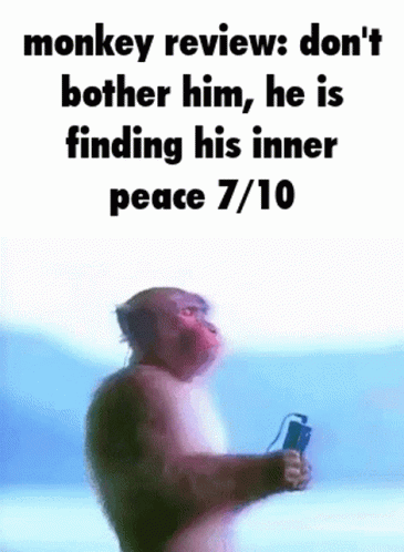 Monkie Review Too Silly GIF