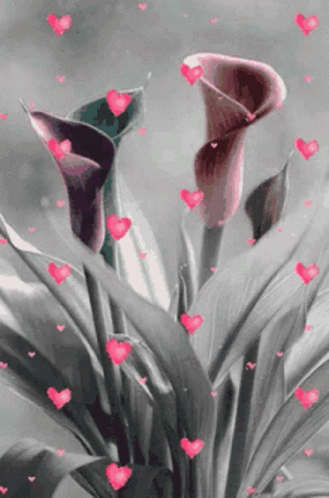 Monochromatic Blooming Flores GIF