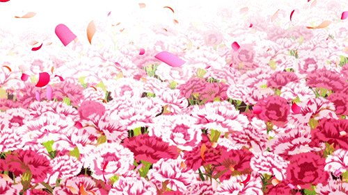 Monogatari Field Of Flowers GIF