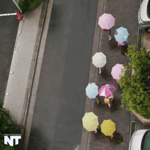 Monsoon Art People Walking Colorful In Umbrellas GIF